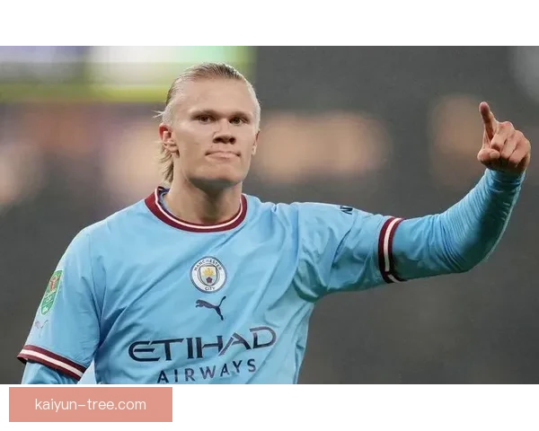 哈兰德解约金条款