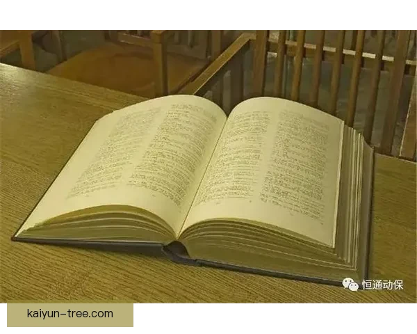 29岁拉菲尼亚职业生涯迎转折点，自我突破成焦点