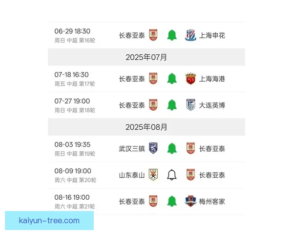 中超联赛最新排名预测：争冠与保级形势走势清晰